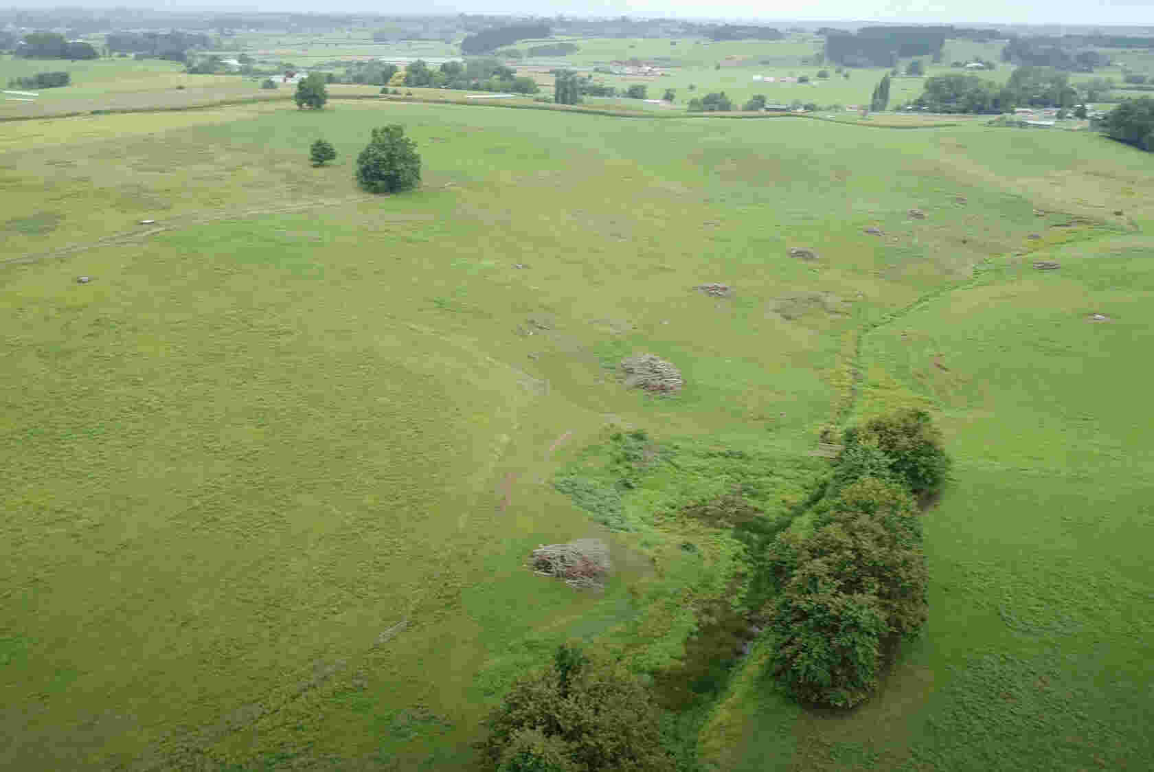 Pukekohe