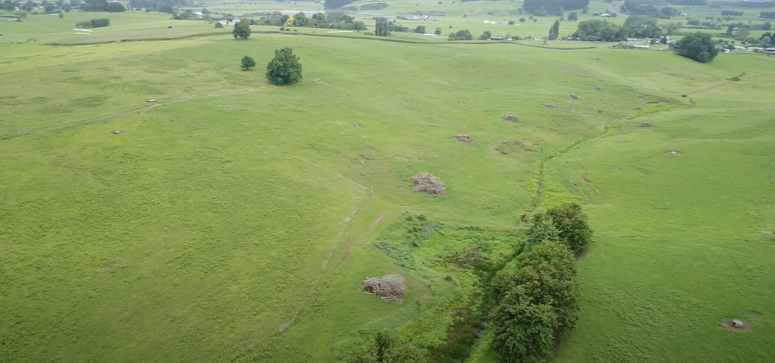 What will my subdivision cost Birch