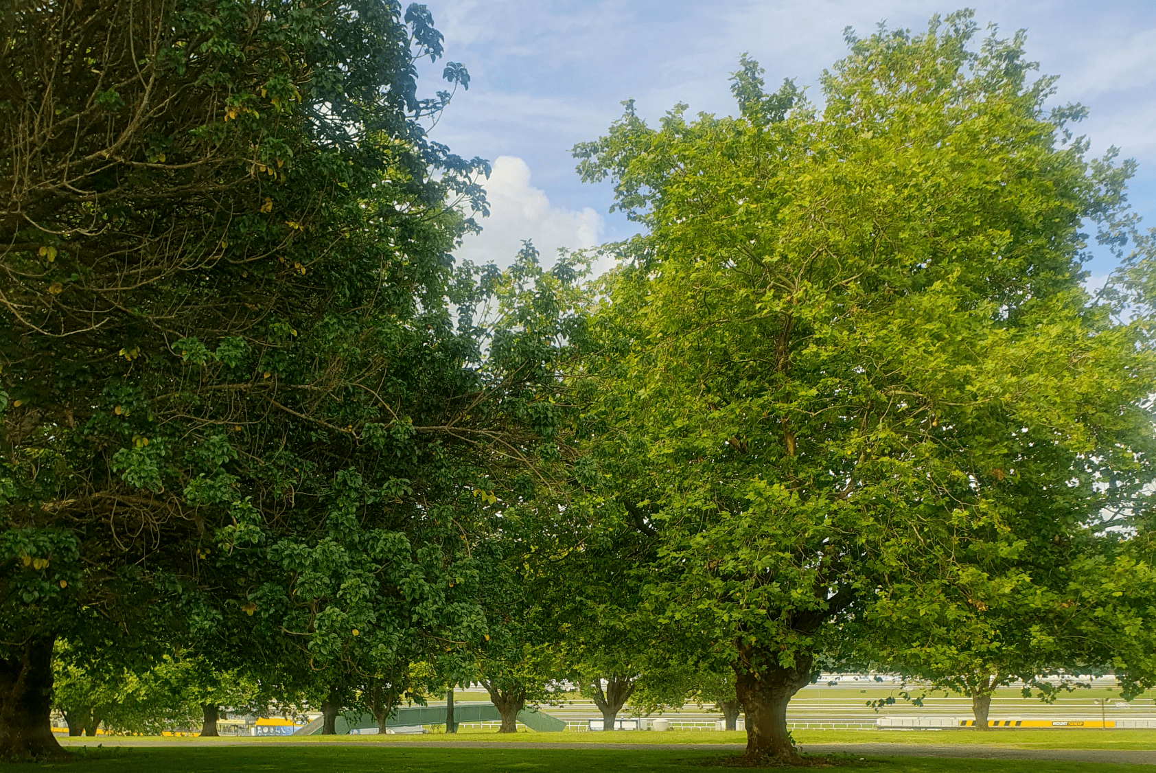 Pukekohe Park