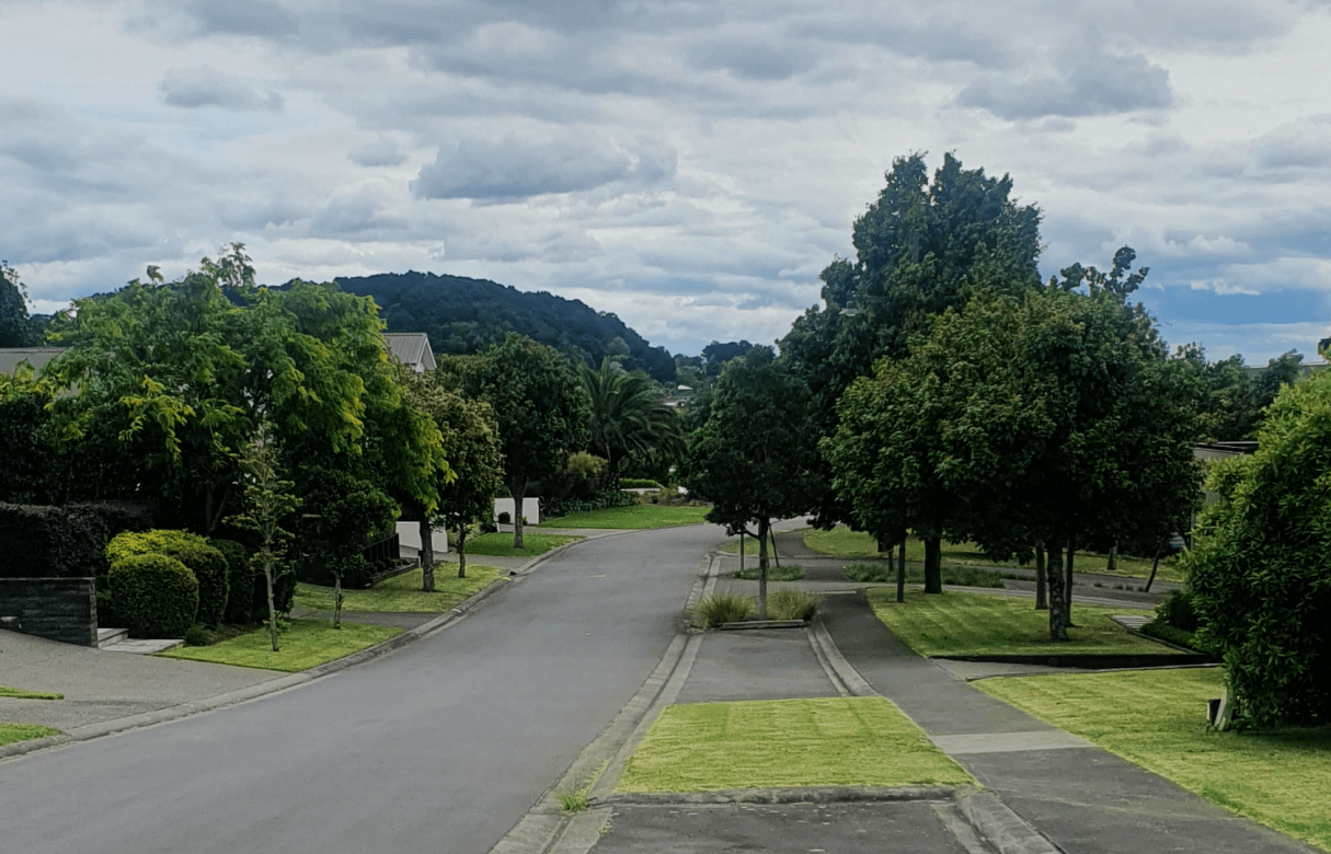 Anselmi Ridge Limited