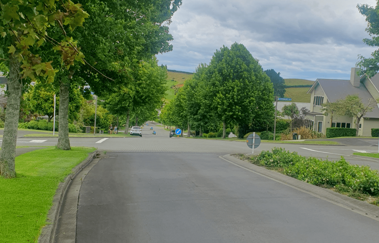 Anselmi Ridge Limited