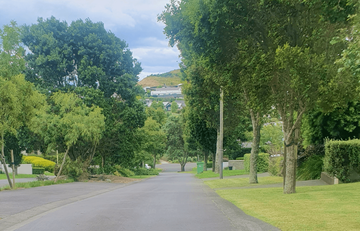 Anselmi Ridge Limited