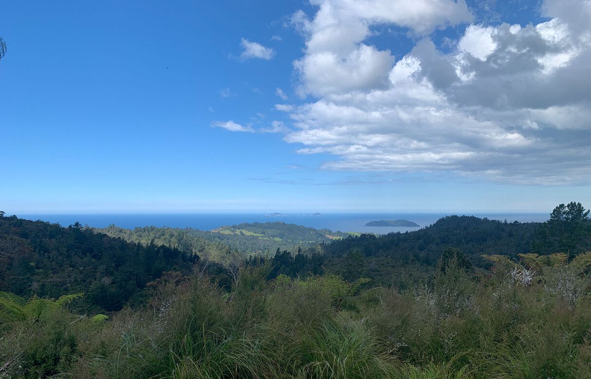 Whats happening outside Auckland