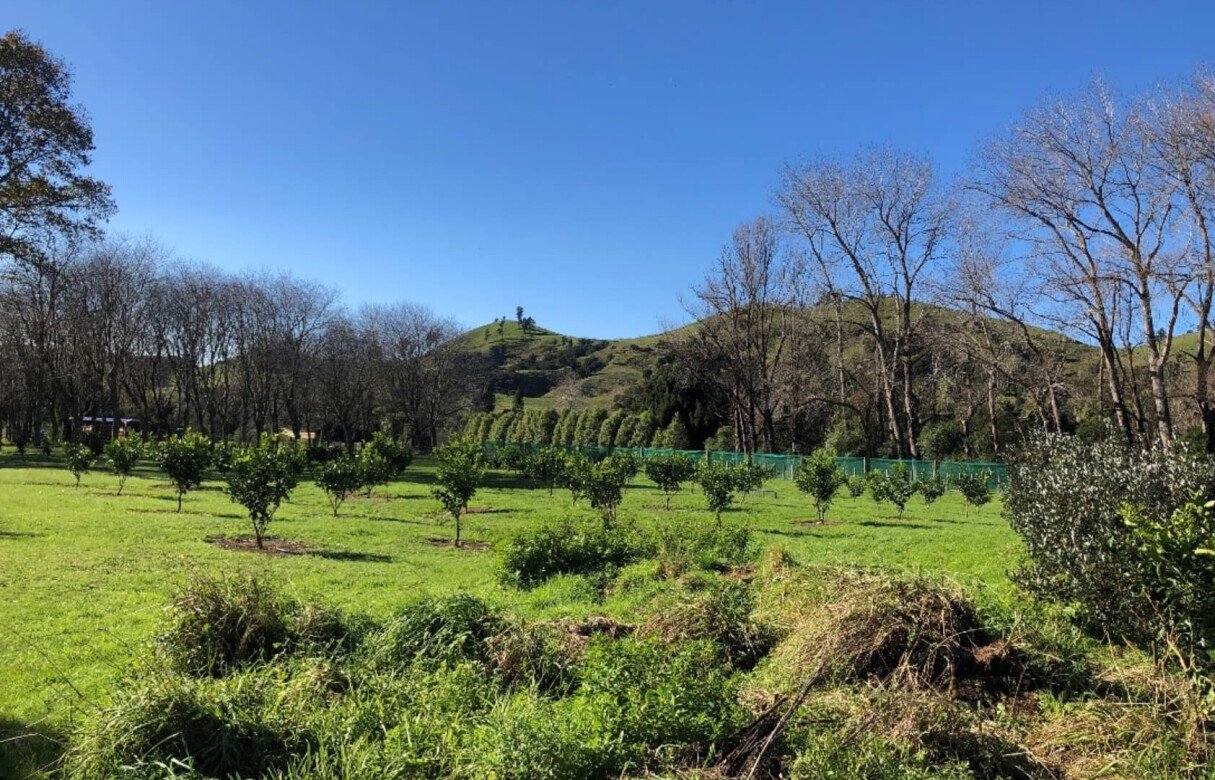 Land Use for Non-Complying Activity