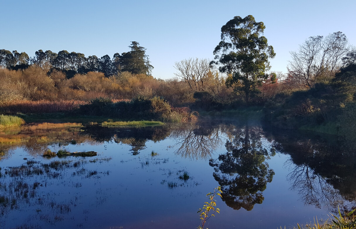 Freshwater Follies