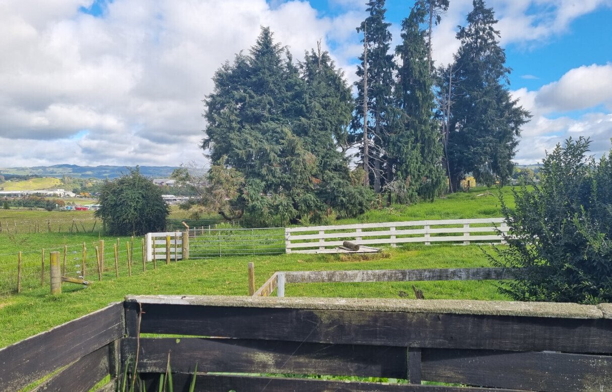 10 Residential Lots and Commonly Owned Access Lots