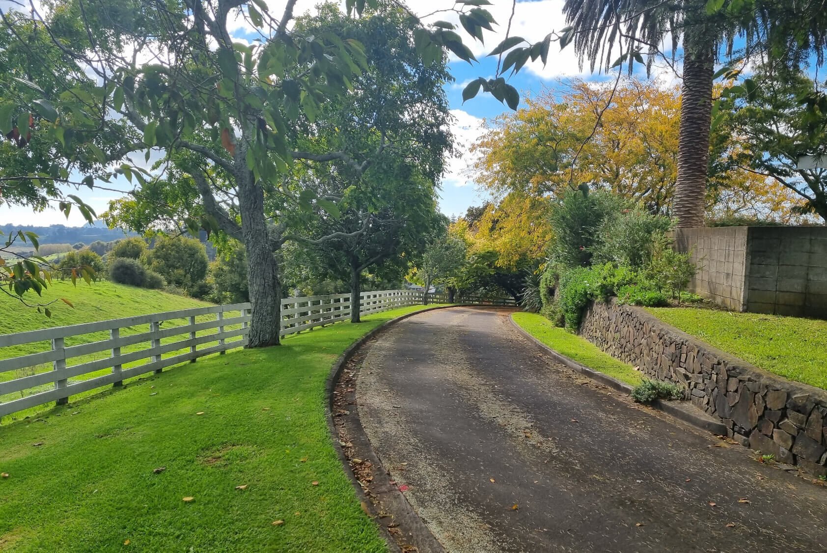 10 Residential Lots and Commonly Owned Access Lots
