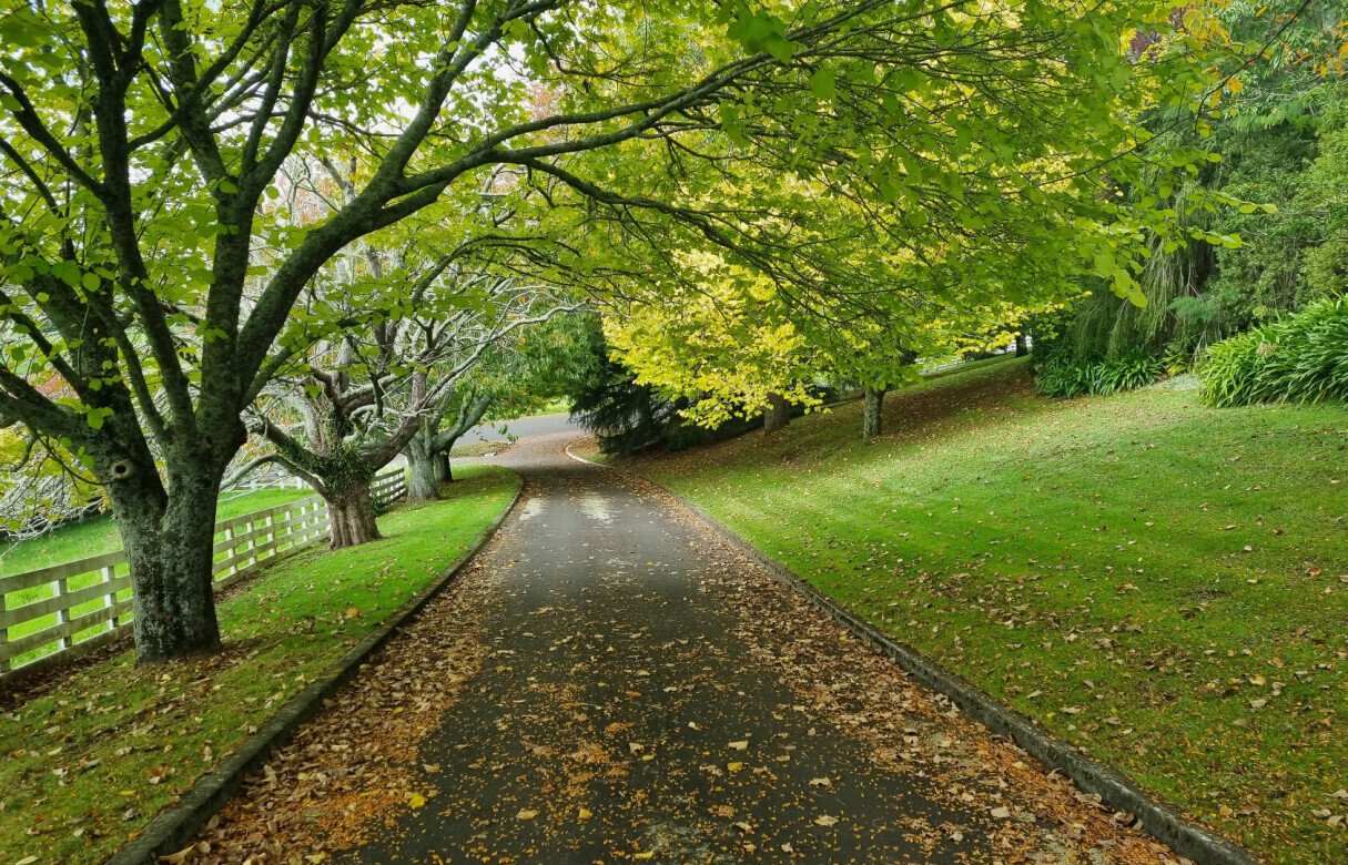 10 Residential Lots and Commonly Owned Access Lots