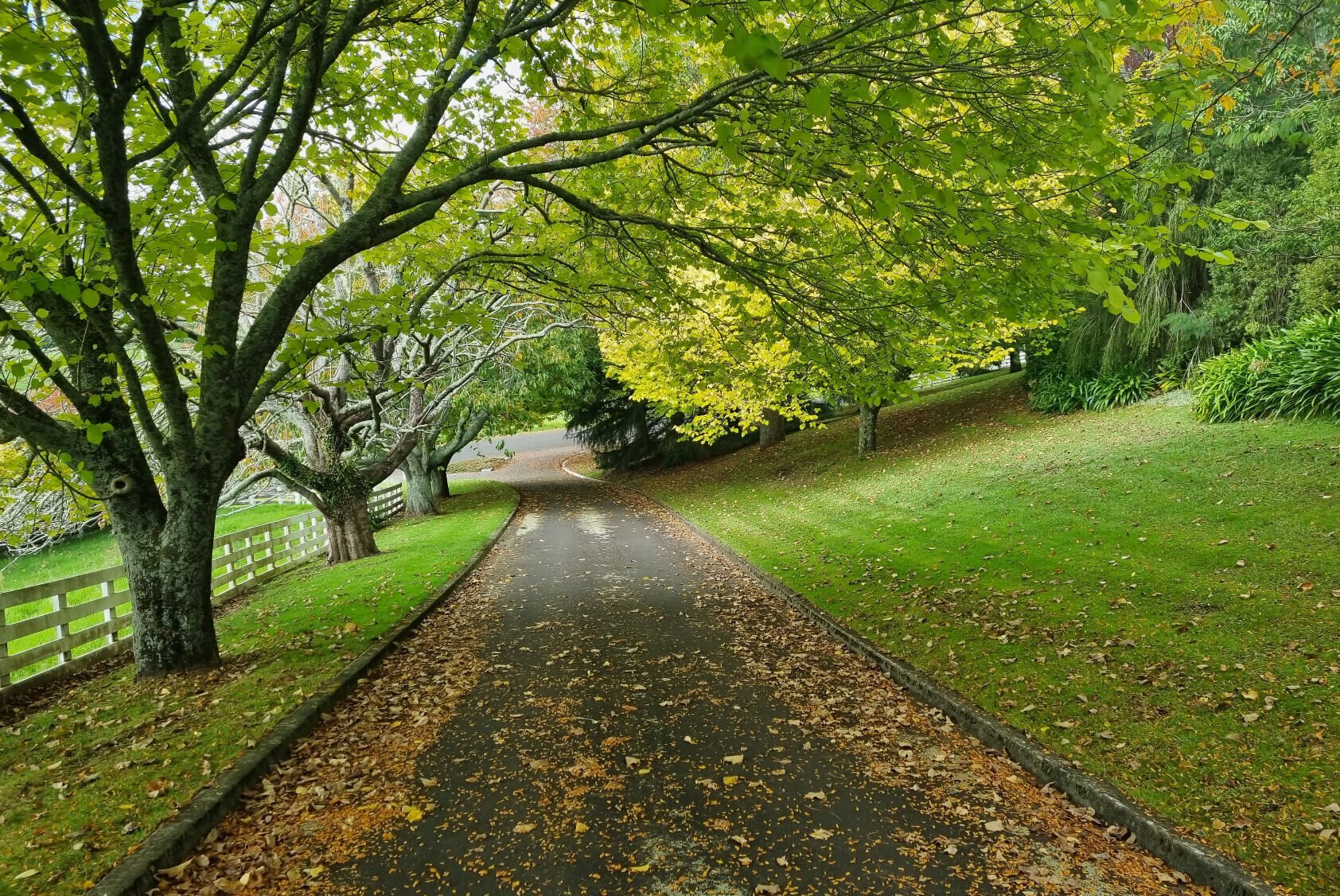 10 Residential Lots and Commonly Owned Access Lots