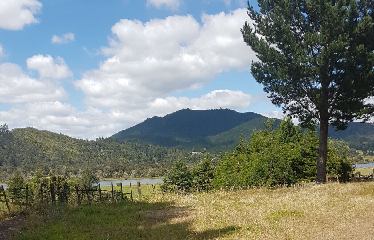 Boundary Relocation Subdivision