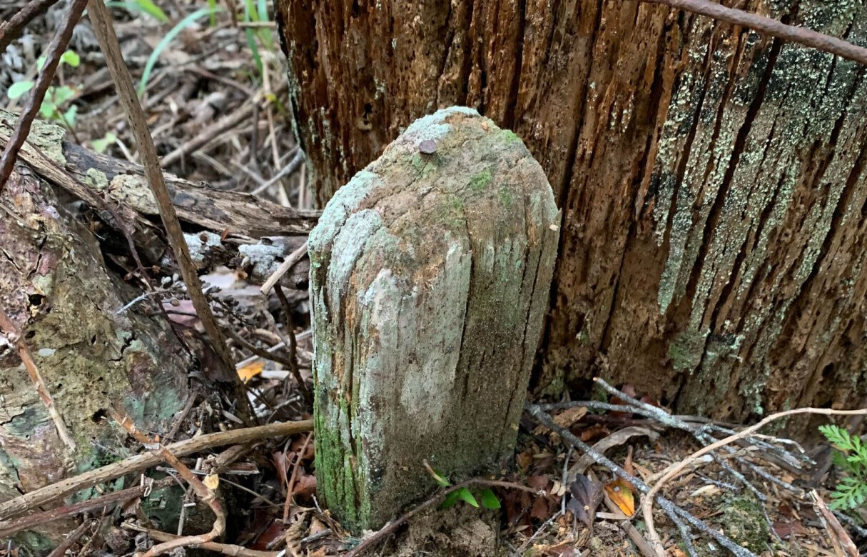 Submitting changes to subdivision resource consent