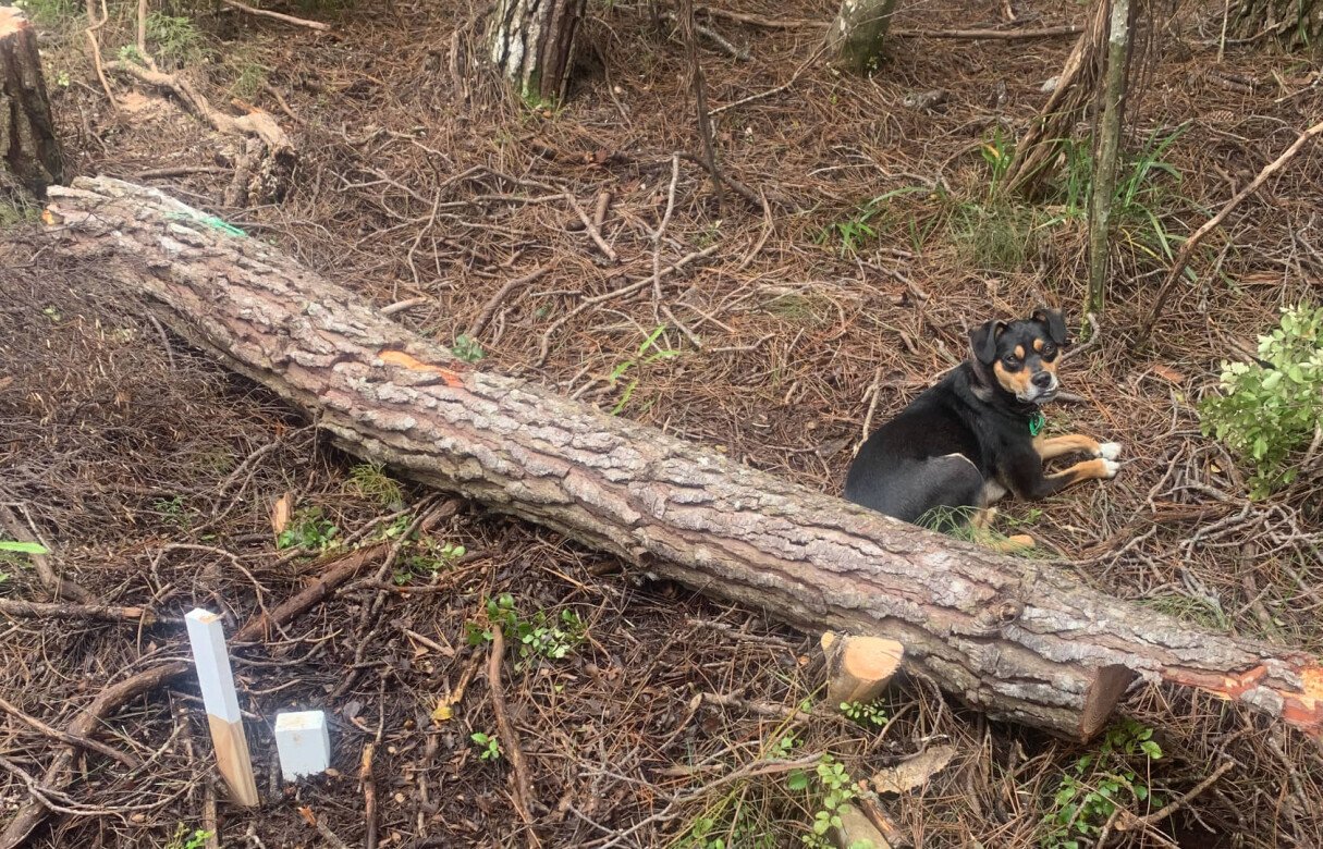 Submitting changes to subdivision resource consent