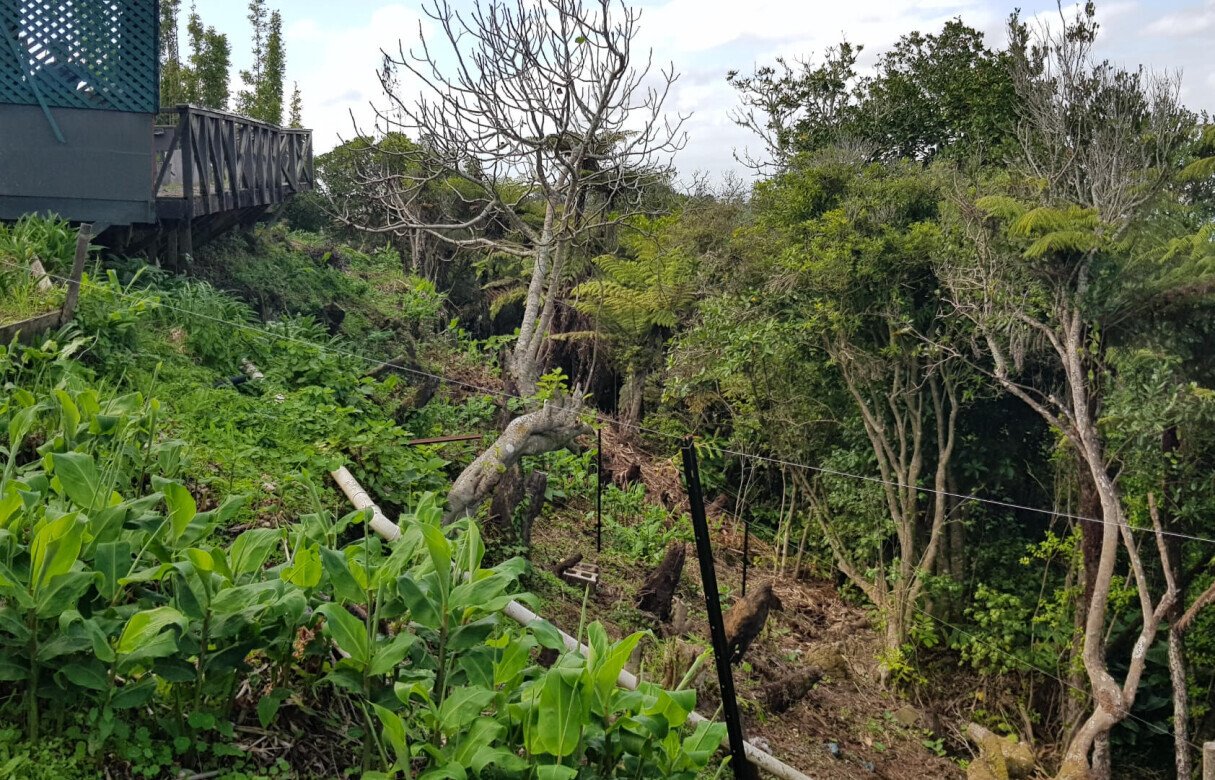 Ecological Considerations when Building