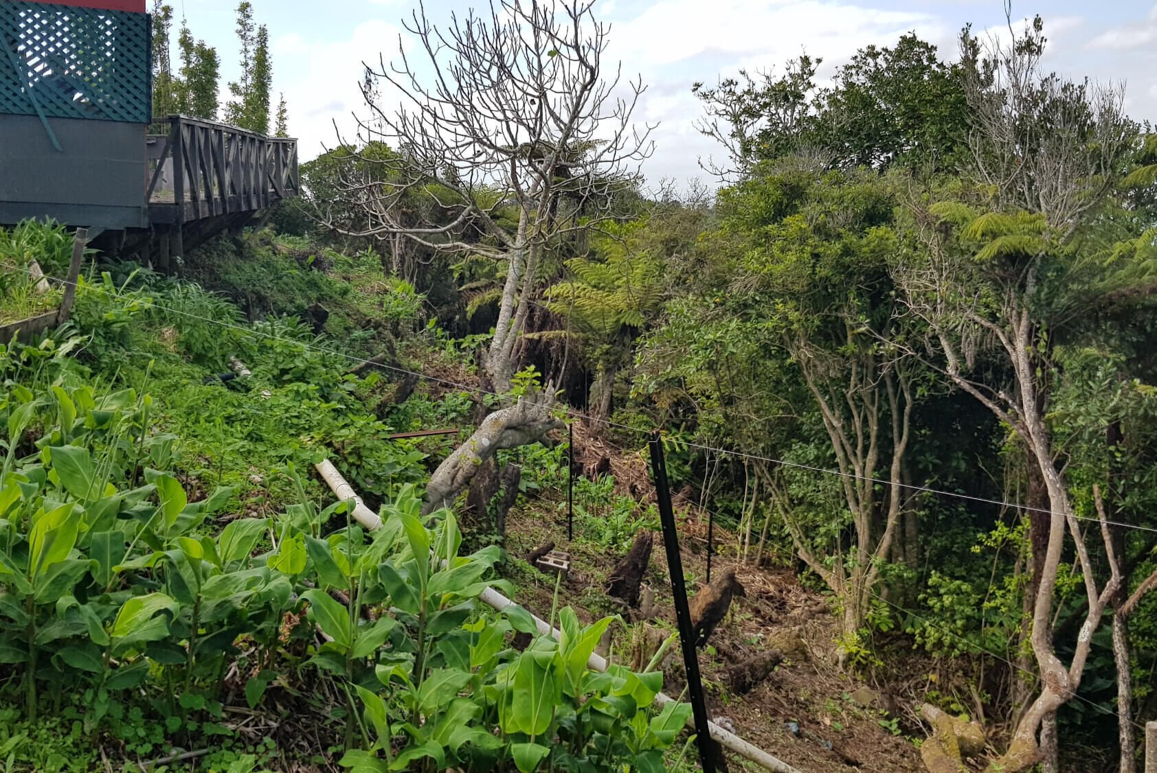Ecological Considerations when Building