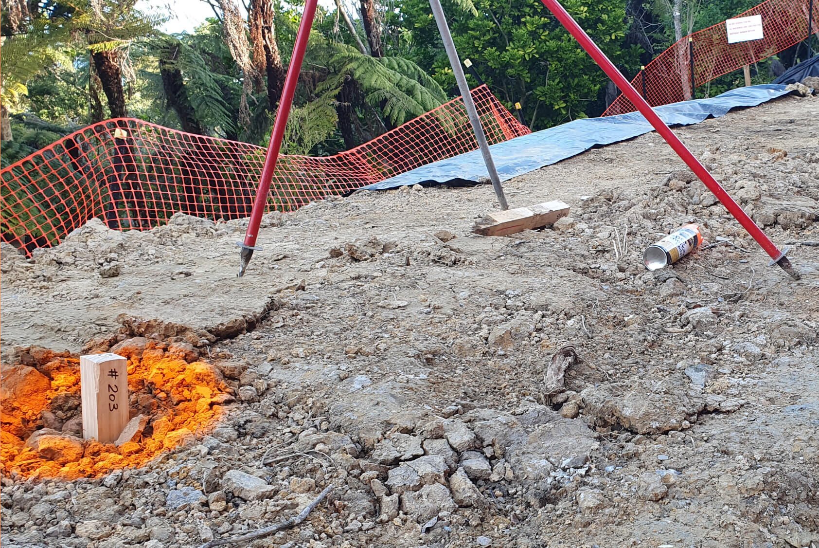 Ecological Considerations when Building