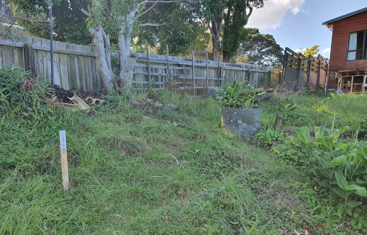 Ecological Considerations when Building