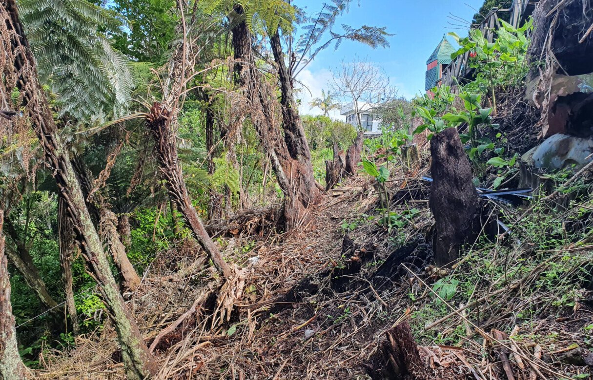 Ecological Considerations when Building