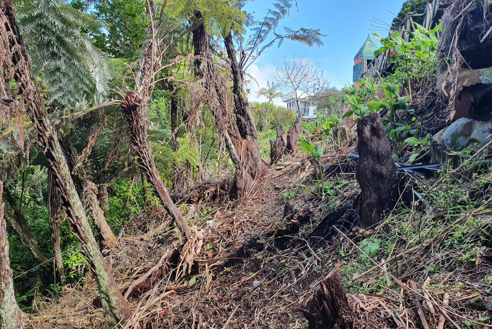 Ecological Considerations when Building