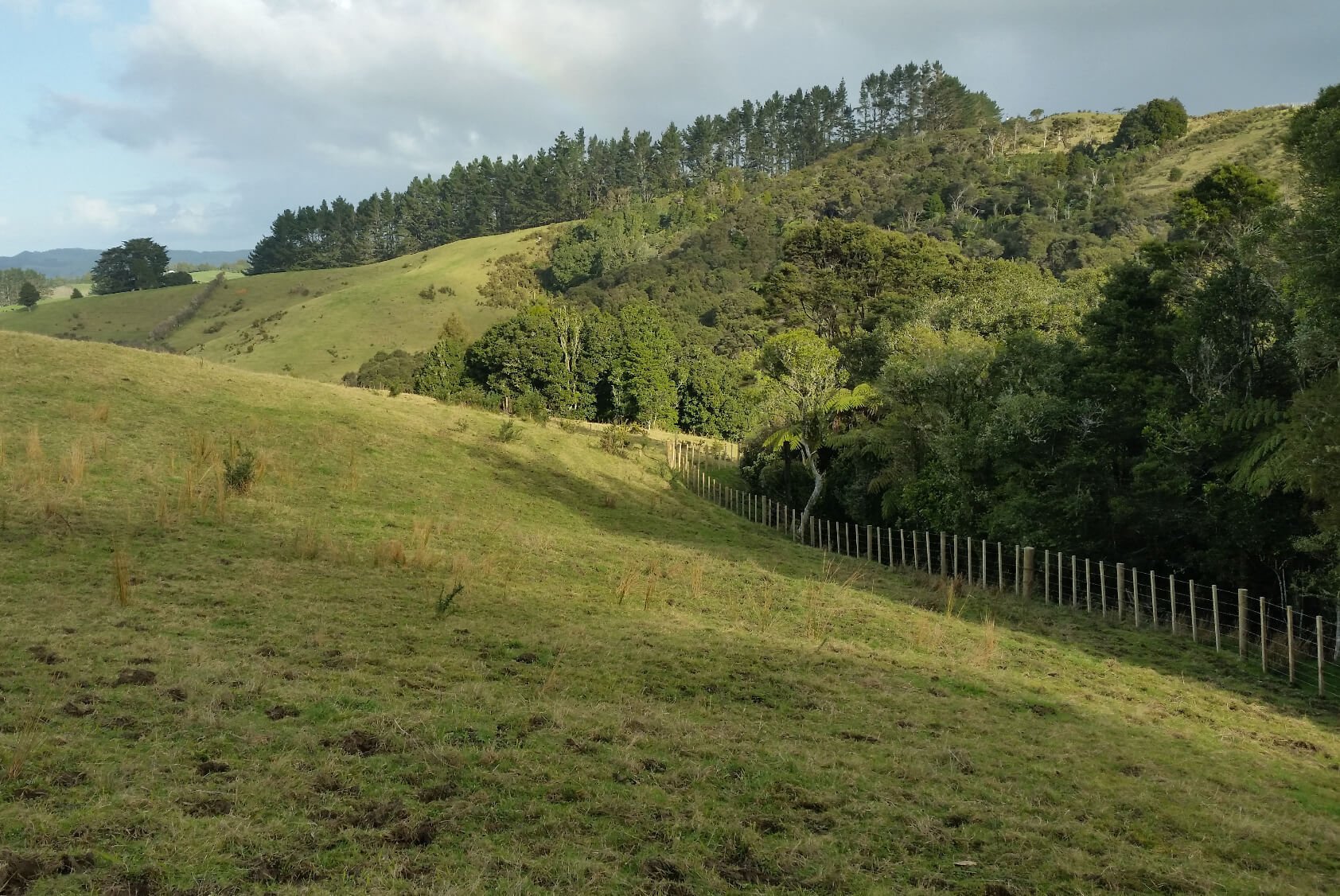 Amalgamation, Relocation & Subdivision