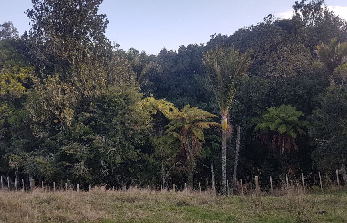 Amalgamation, Relocation & Subdivision