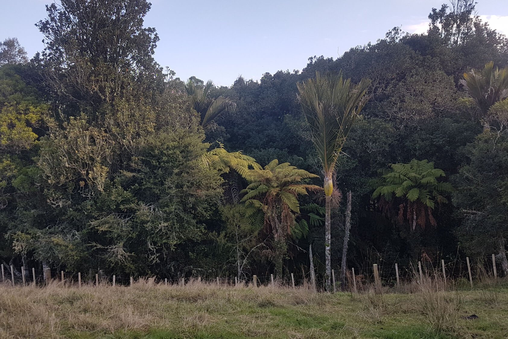 Amalgamation, Relocation & Subdivision