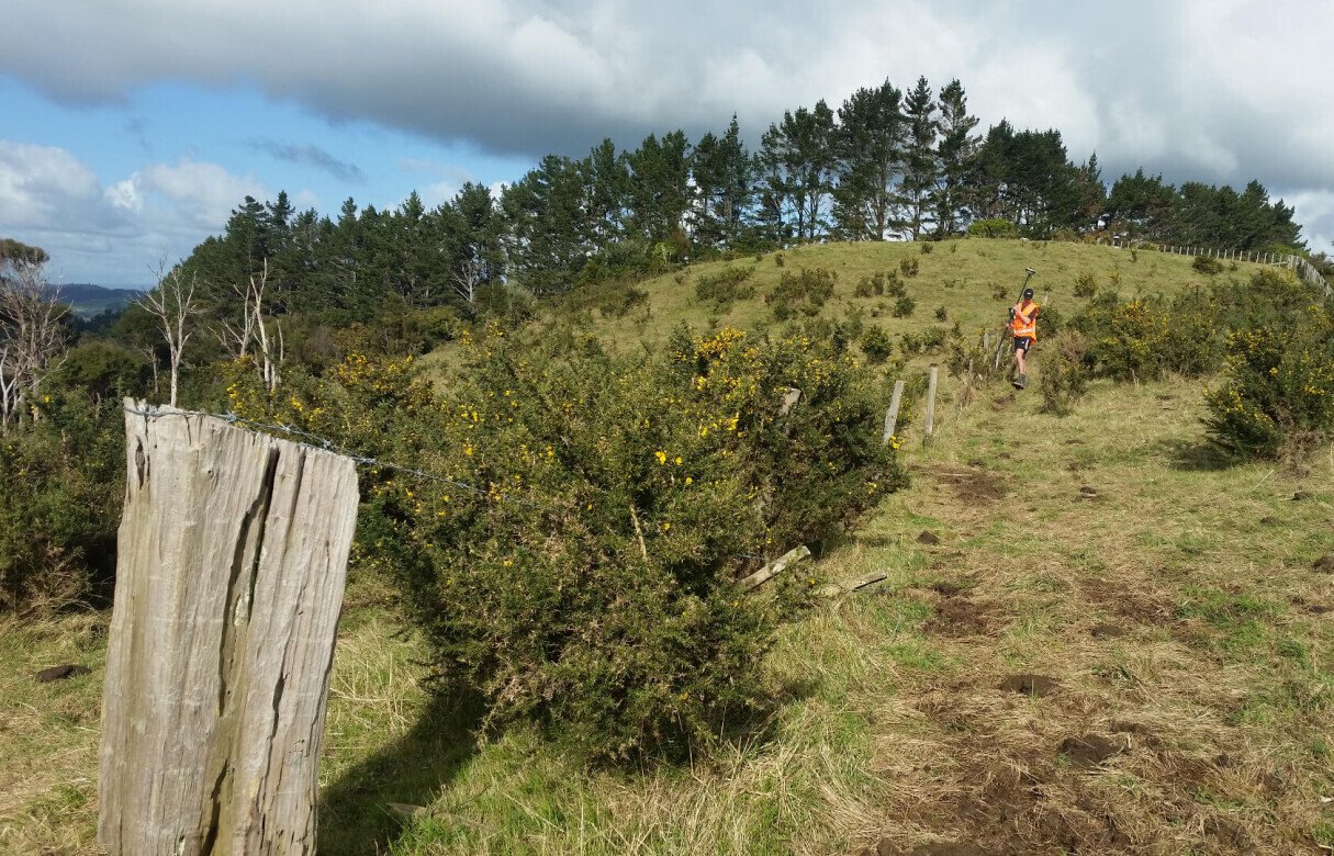 Amalgamation, Relocation & Subdivision