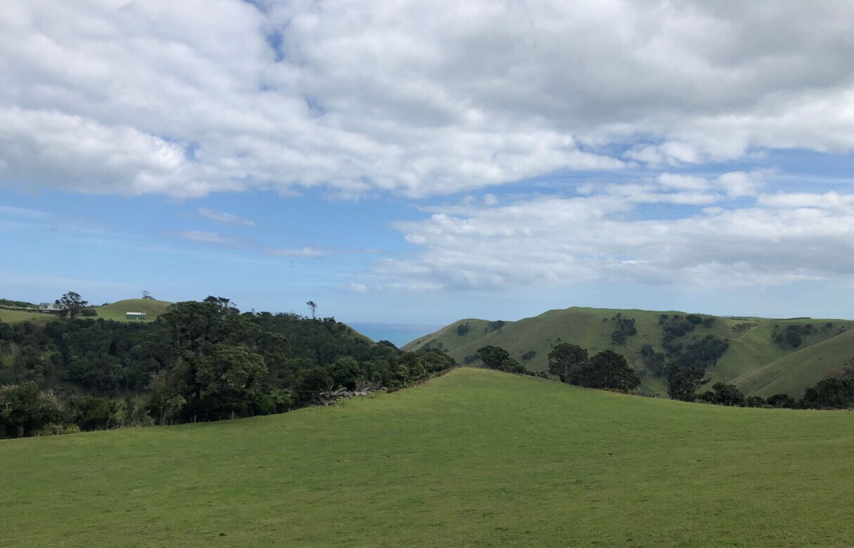 Limited as to Parcels Subdivision in Manukau Heads