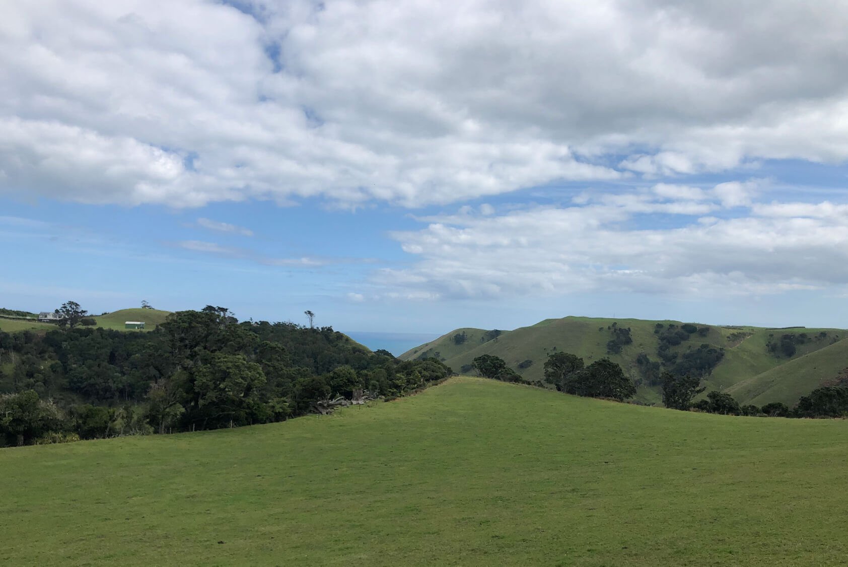 Limited as to Parcels Subdivision in Manukau Heads