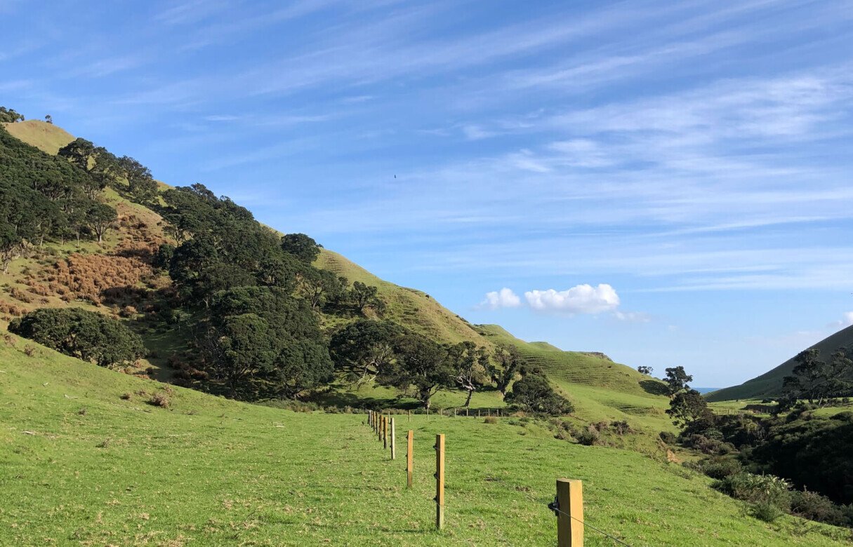 Limited as to Parcels Subdivision in Manukau Heads