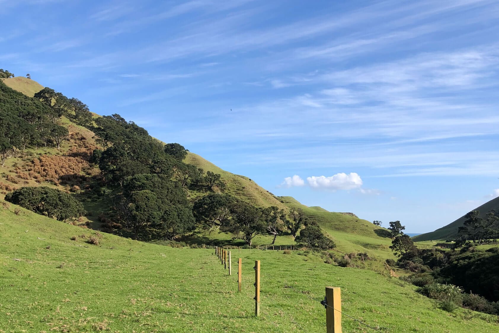 Limited as to Parcels Subdivision in Manukau Heads
