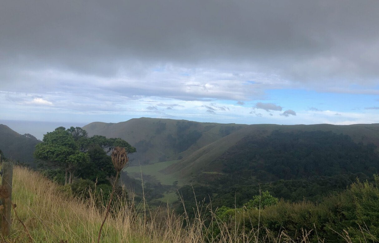 Limited as to Parcels Subdivision in Manukau Heads