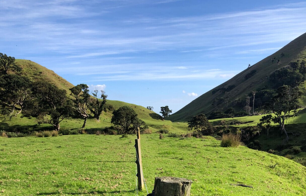 Limited as to Parcels Subdivision in Manukau Heads