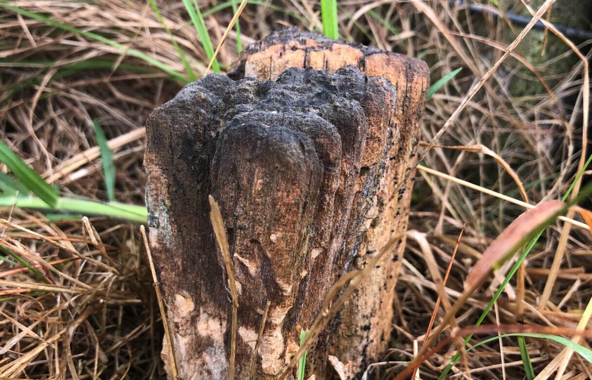 Limited as to Parcels Subdivision in Manukau Heads