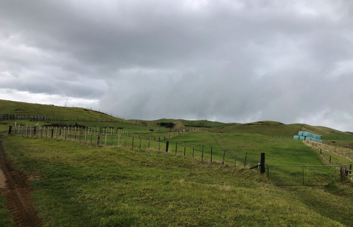 Limited as to Parcels Subdivision in Manukau Heads