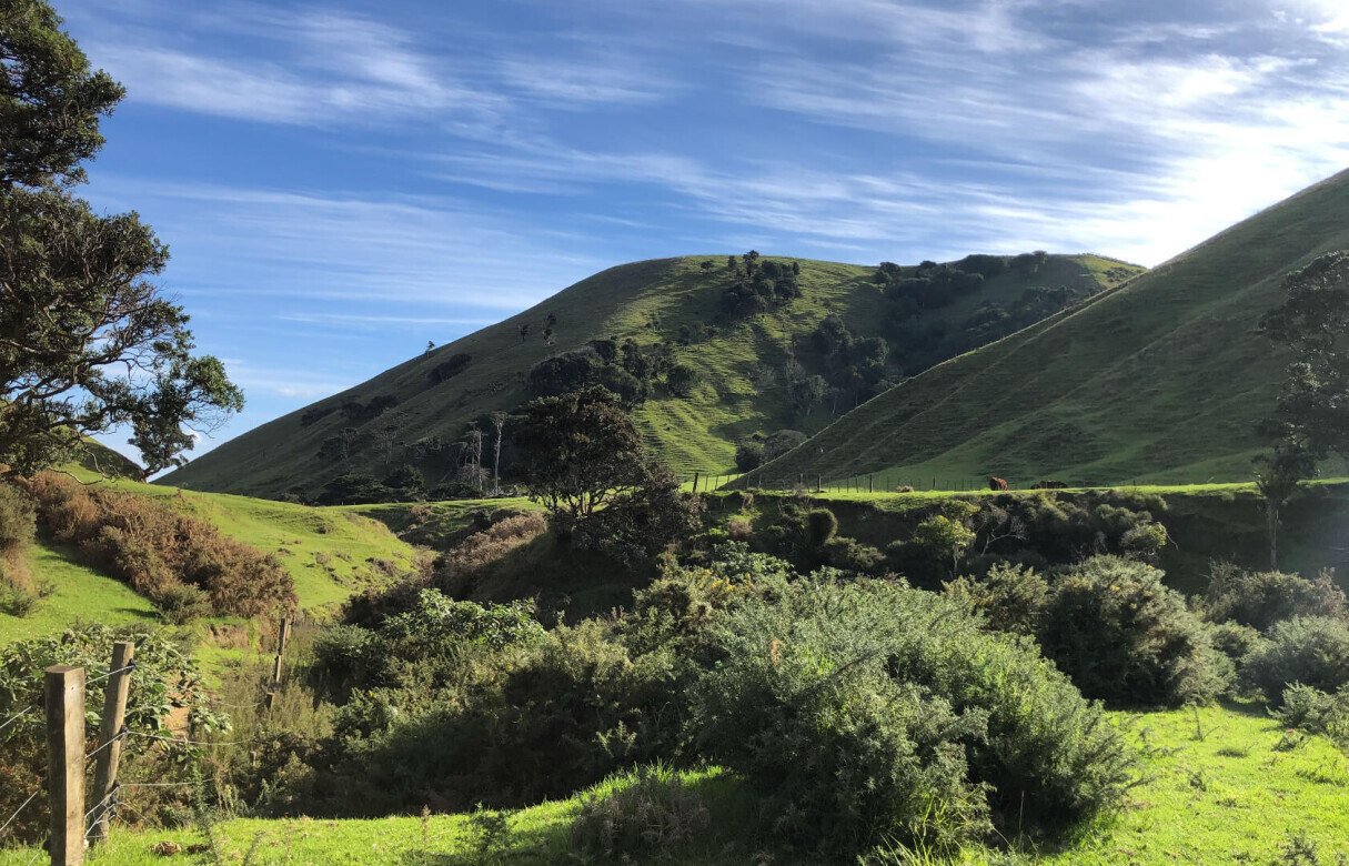 Limited as to Parcels Subdivision in Manukau Heads