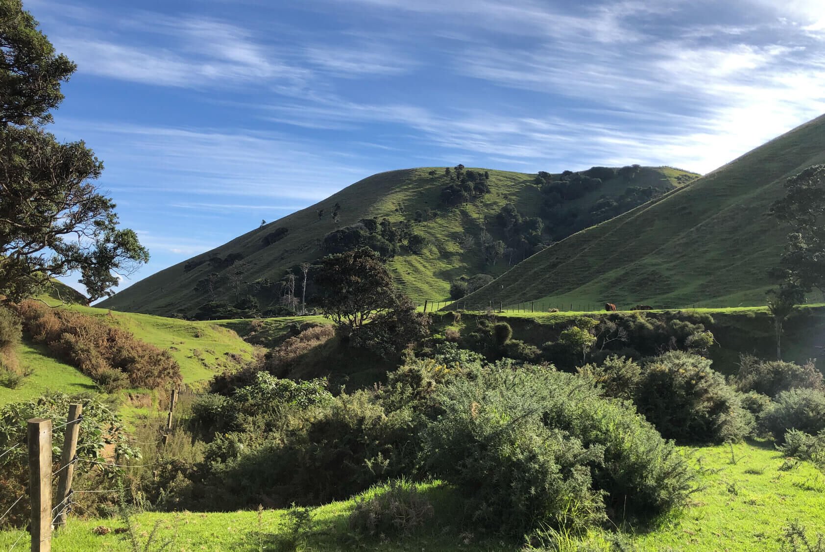Limited as to Parcels Subdivision in Manukau Heads
