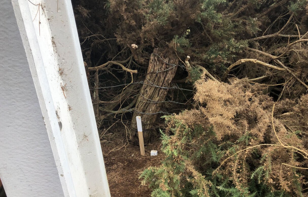 Limited as to Parcels Subdivision in Manukau Heads