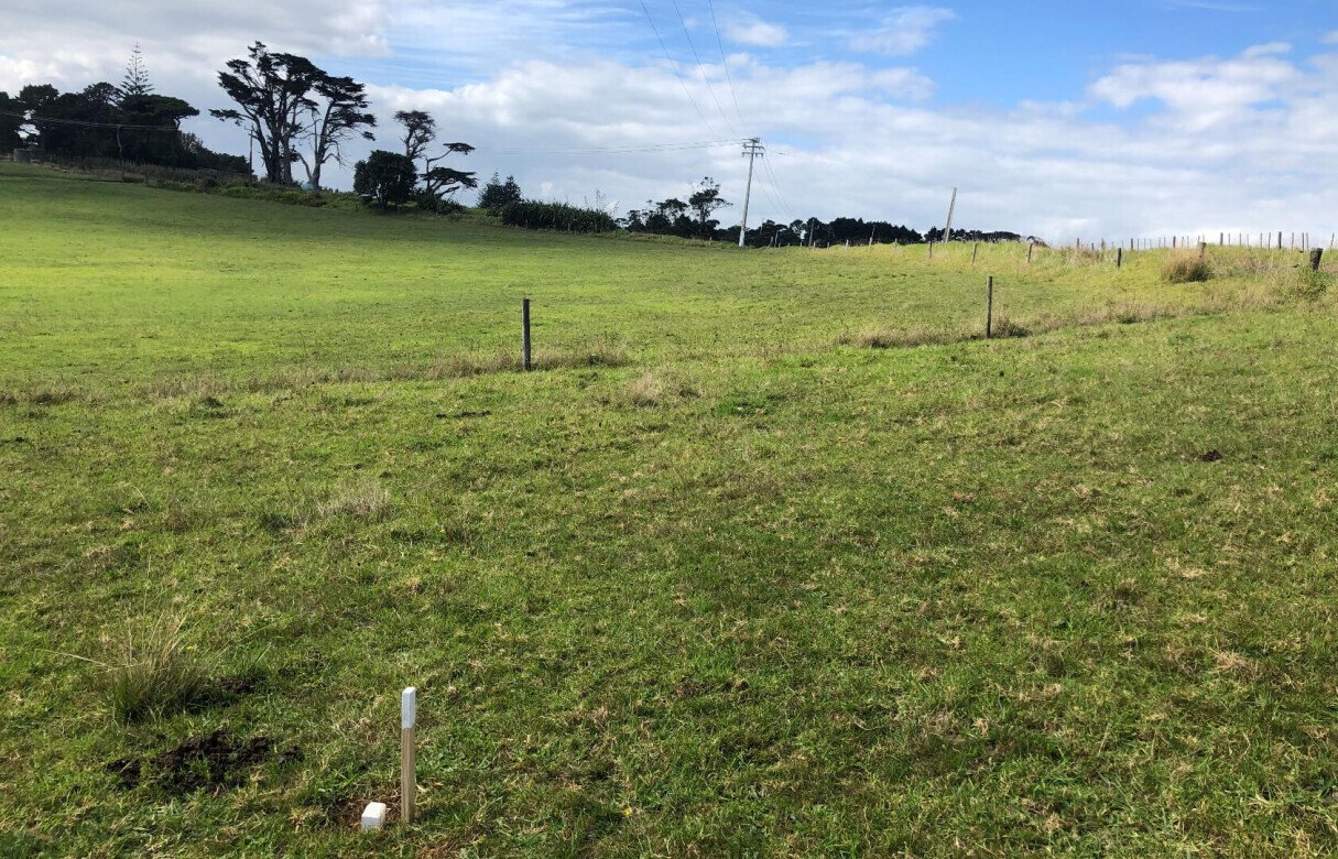 Limited as to Parcels Subdivision in Manukau Heads