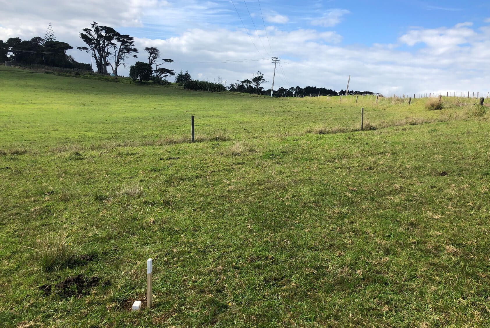 Limited as to Parcels Subdivision in Manukau Heads