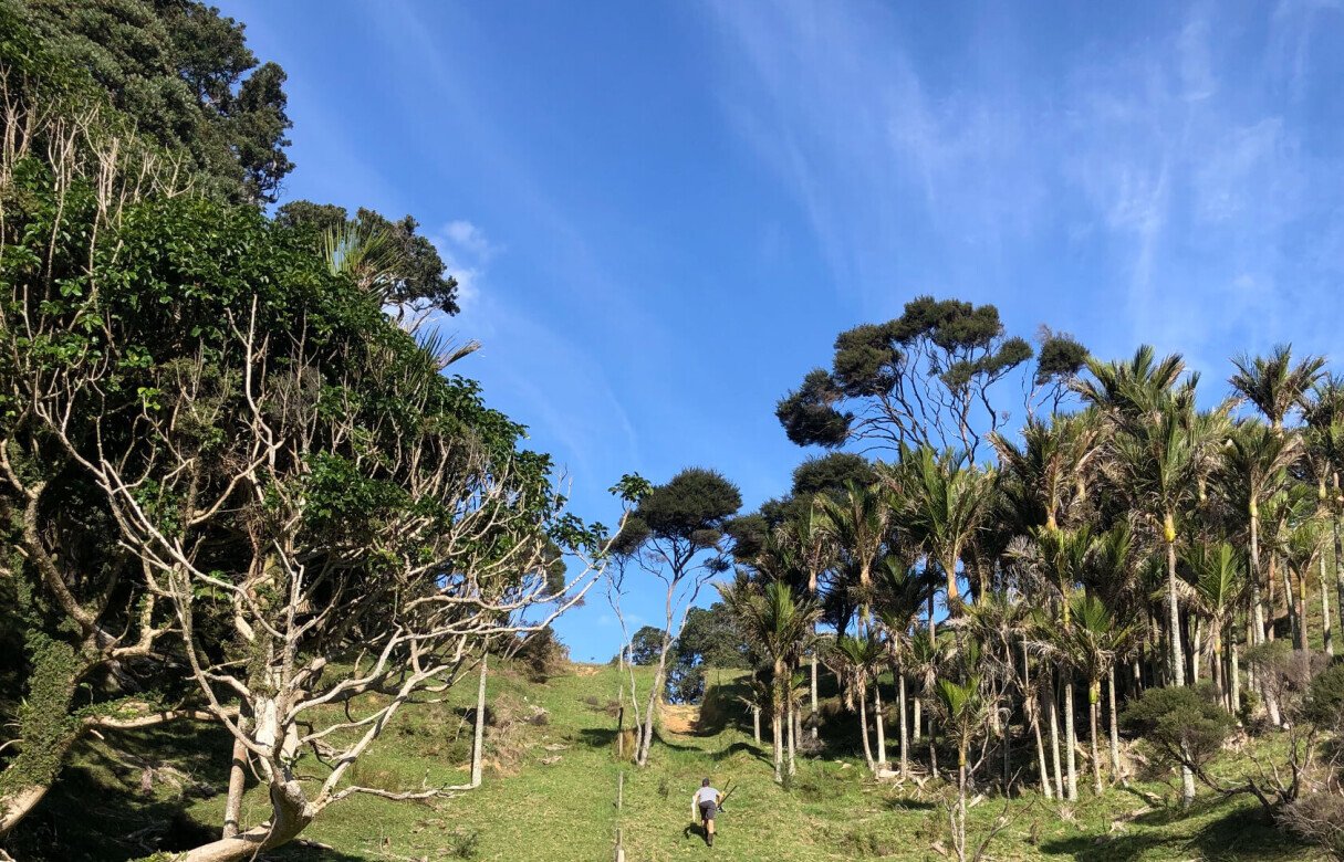 Limited as to Parcels Subdivision in Manukau Heads