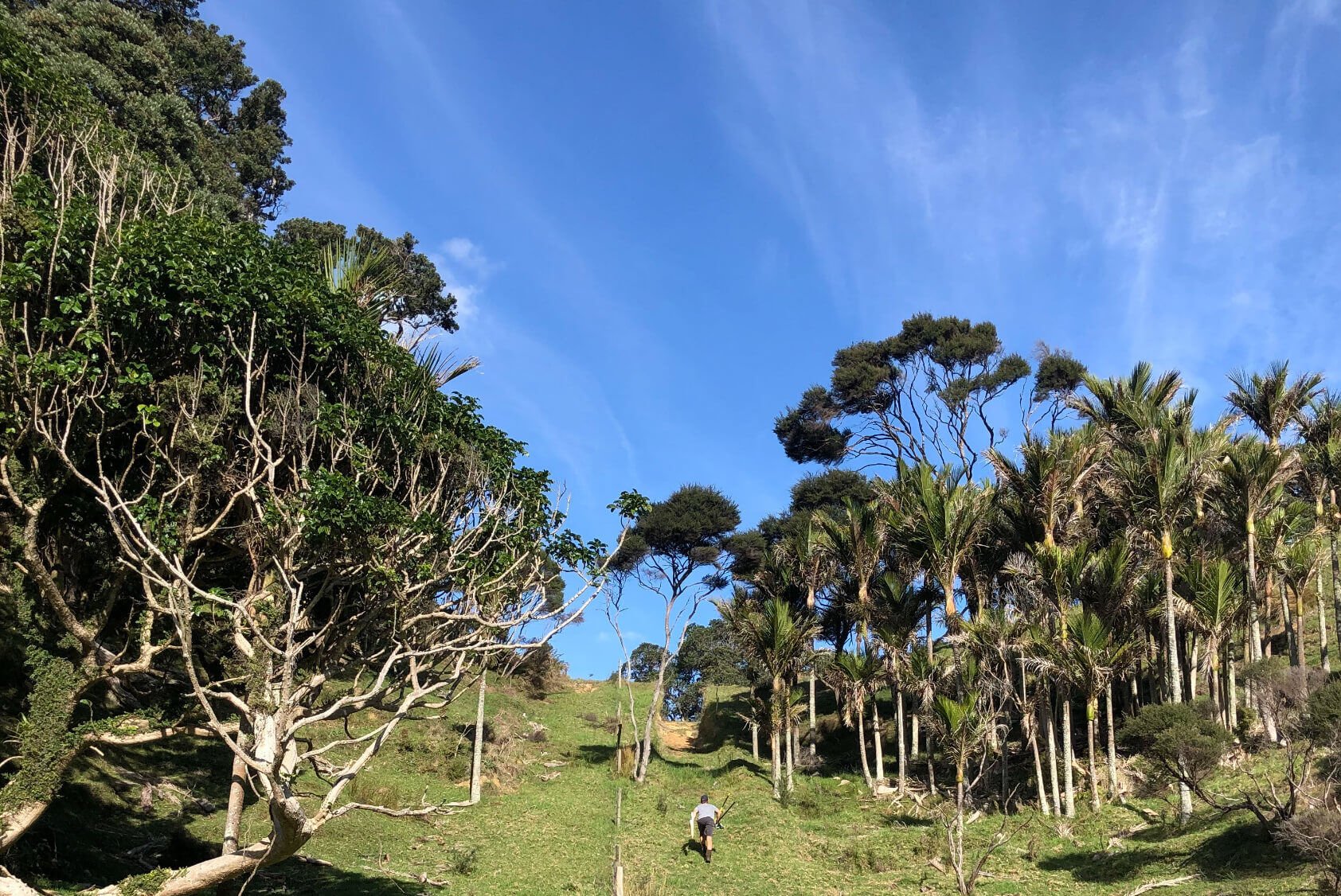 Limited as to Parcels Subdivision in Manukau Heads