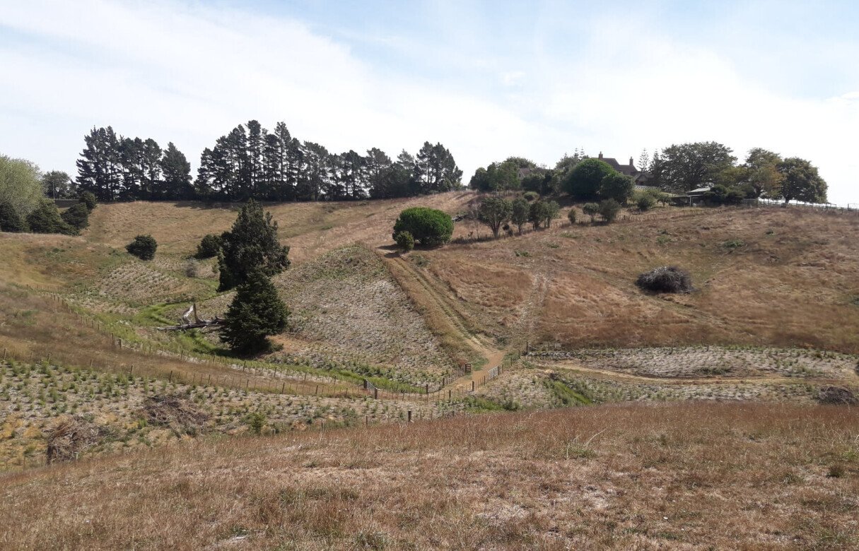 8 Lot Subdivision in Pukekohe's Countryside