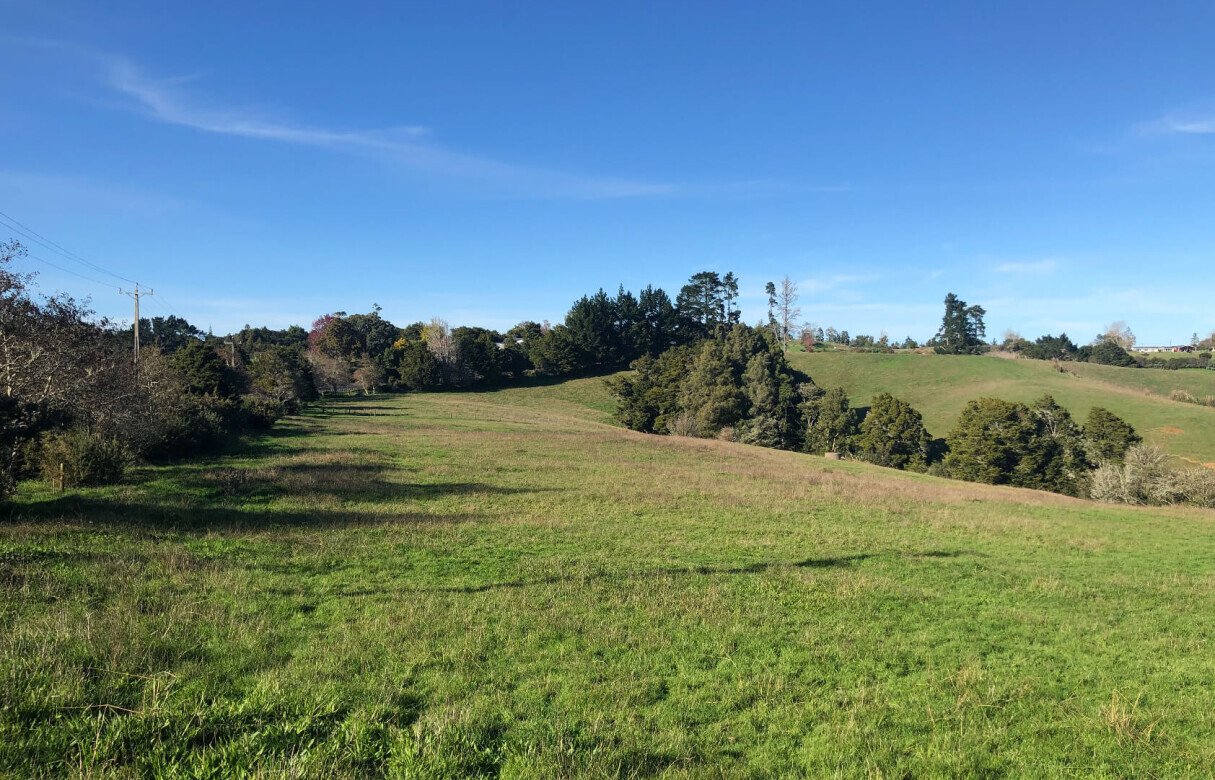 8 Lot Subdivision in Pukekohe's Countryside