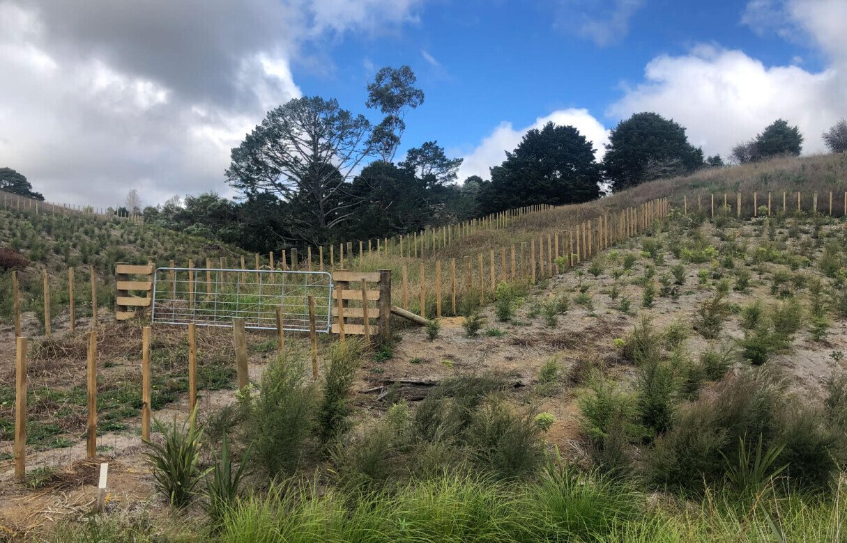 8 Lot Subdivision in Pukekohe's Countryside