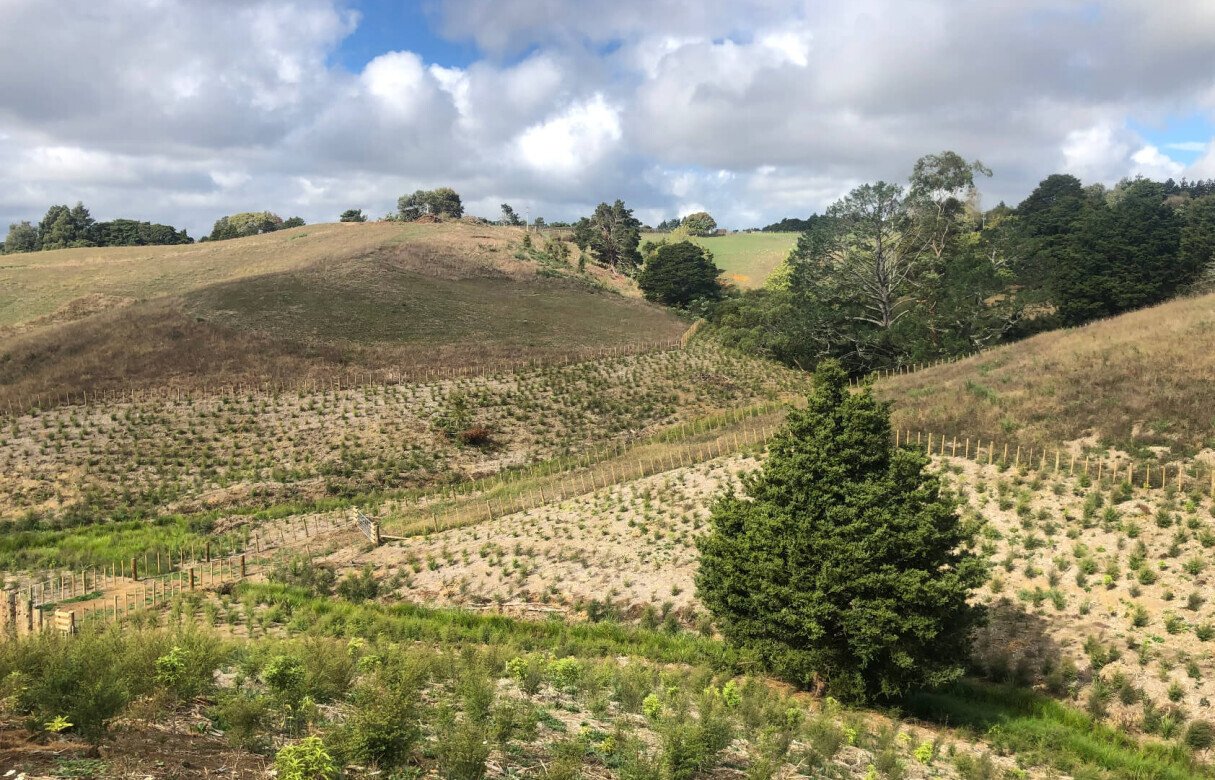 8 Lot Subdivision in Pukekohe's Countryside