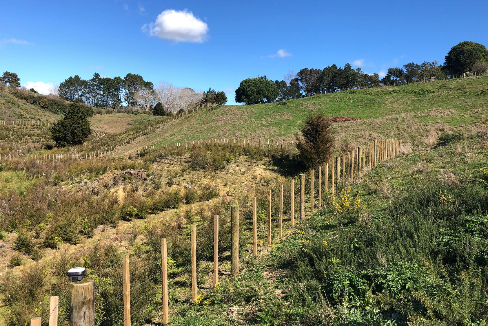 8 Lot Subdivision in Pukekohe's Countryside