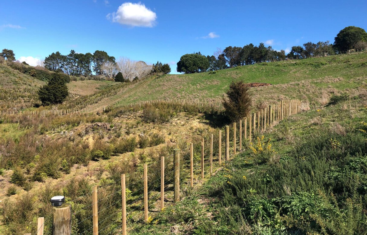 8 Lot Subdivision in Pukekohe's Countryside