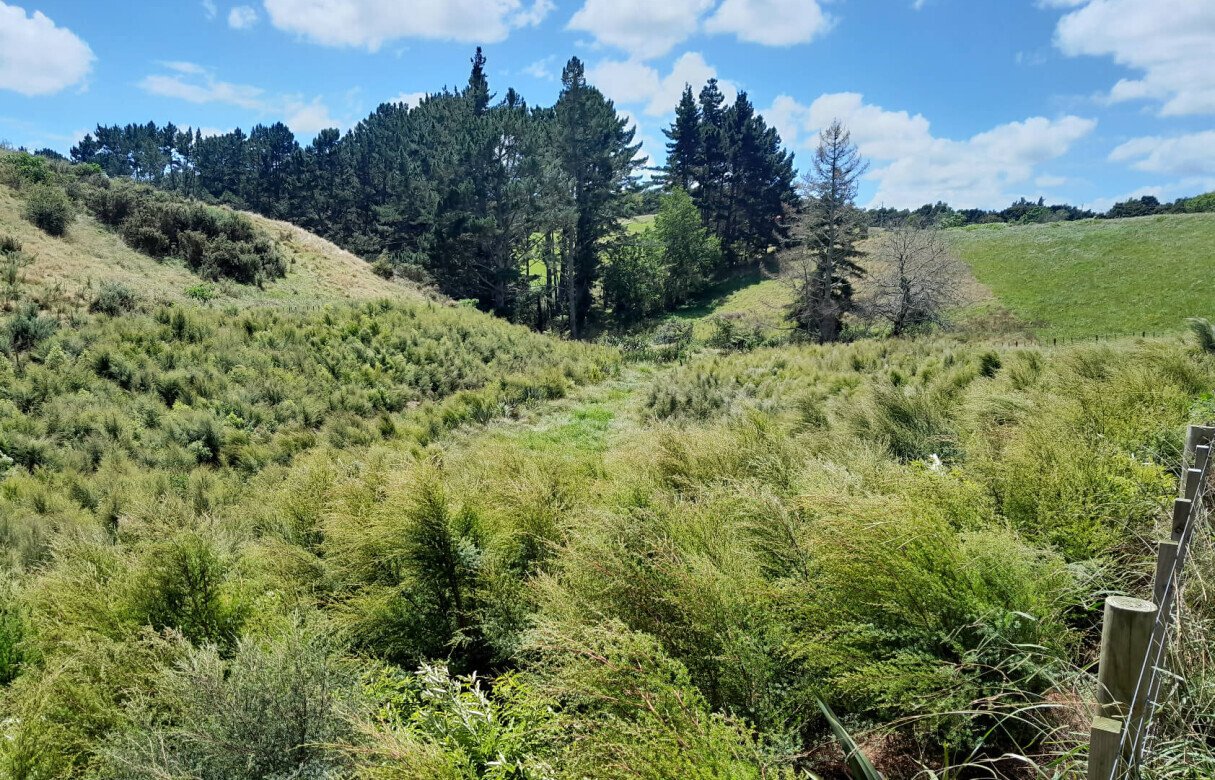 8 Lot Subdivision in Pukekohe's Countryside