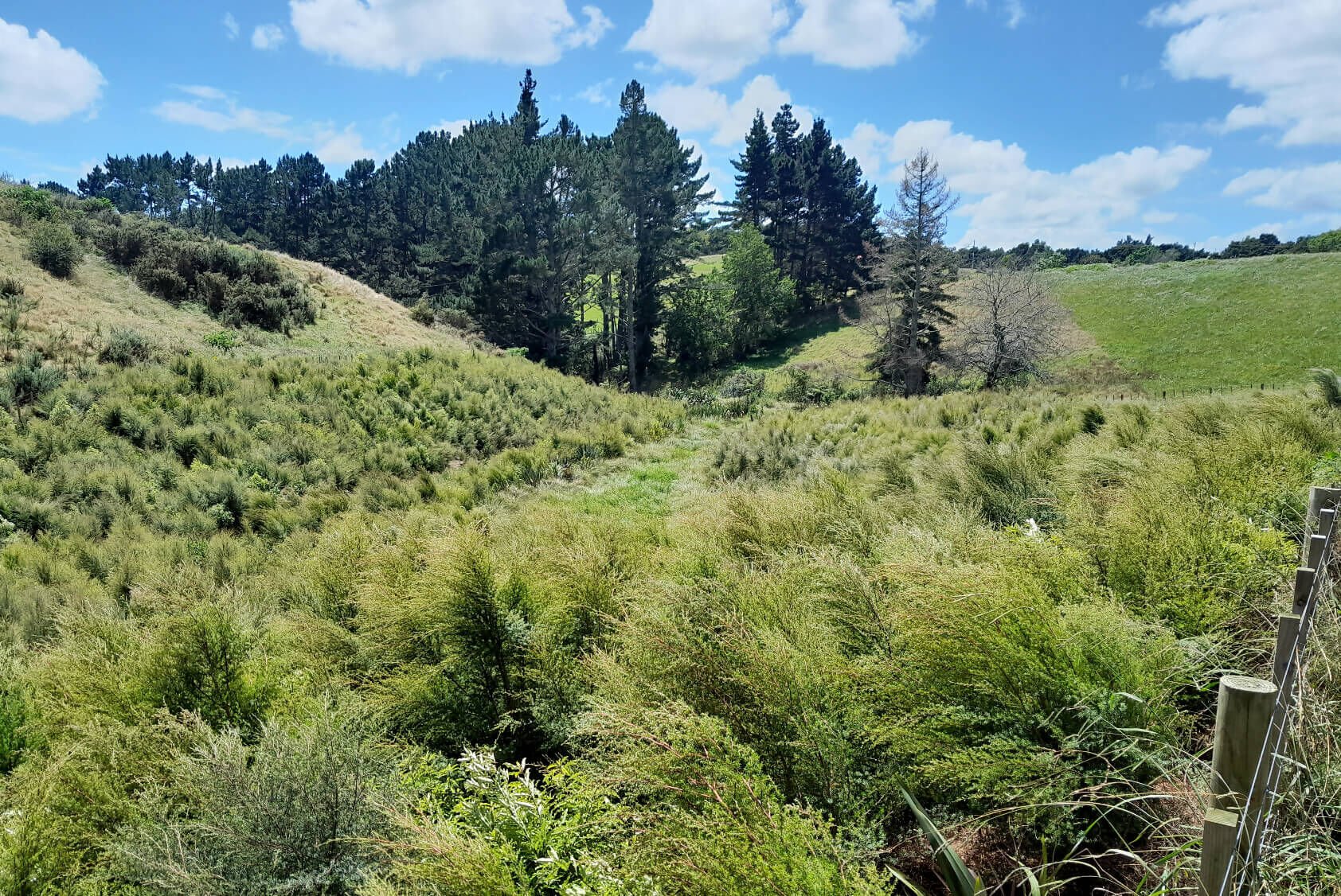 8 Lot Subdivision in Pukekohe's Countryside