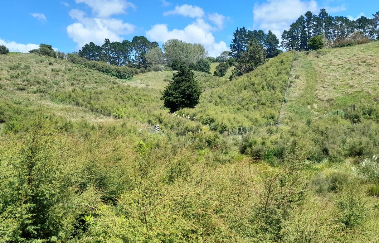 8 Lot Subdivision in Pukekohe's Countryside